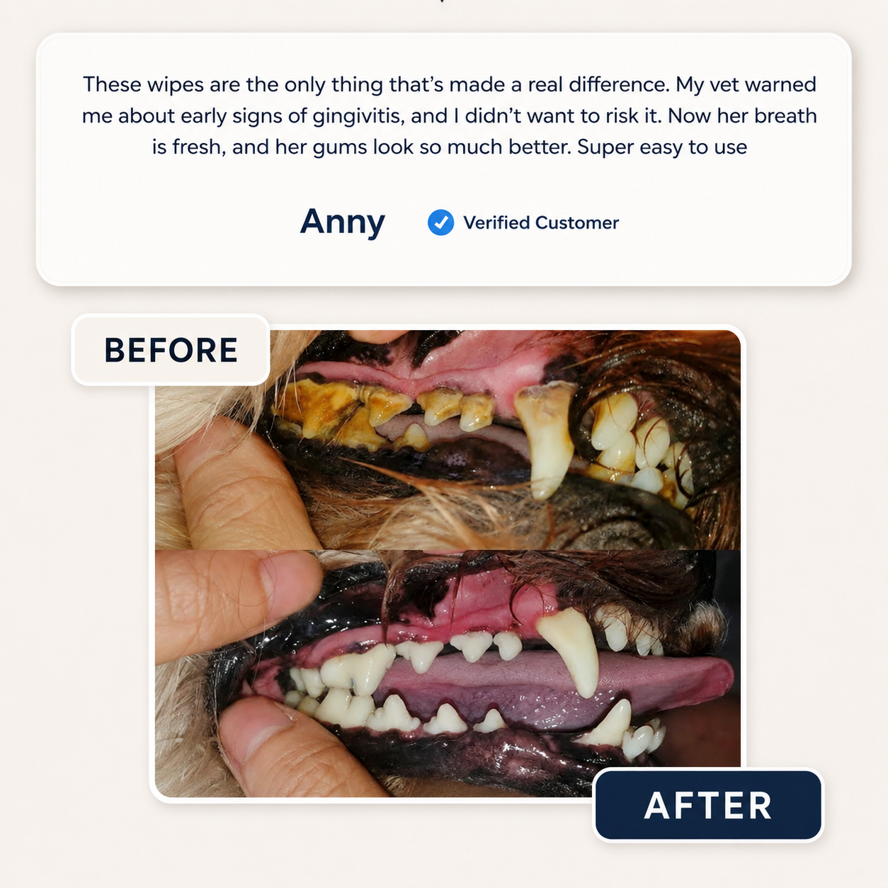 No Brush, No Battle.Dual-Sided Pet Dental Wipes for Dogs & Cats
