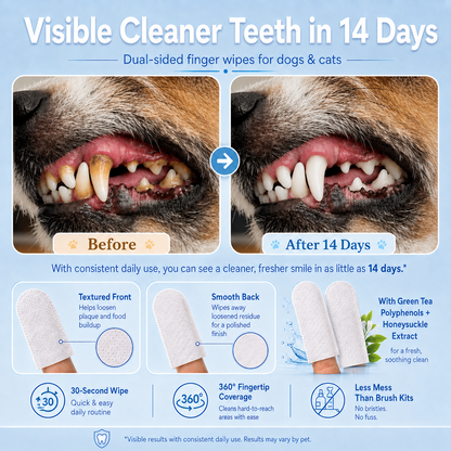 No Brush, No Battle.Dual-Sided Pet Dental Wipes for Dogs & Cats