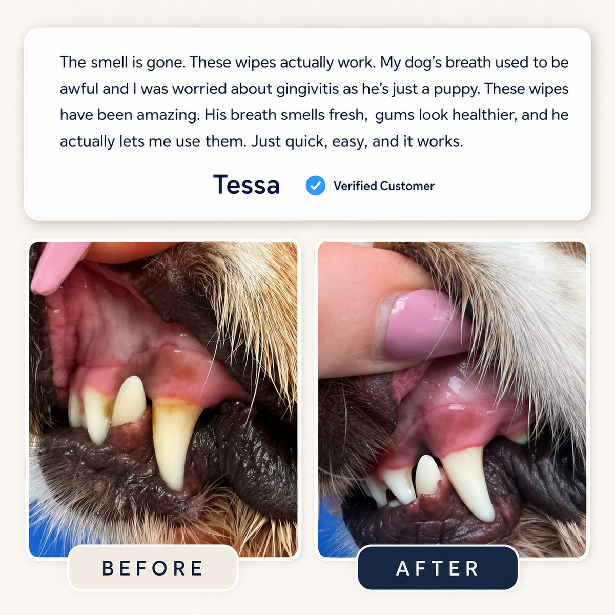 No Brush, No Battle.Dual-Sided Pet Dental Wipes for Dogs & Cats