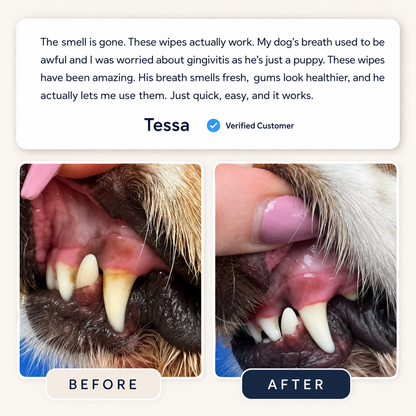 No Brush, No Battle.Dual-Sided Pet Dental Wipes for Dogs & Cats