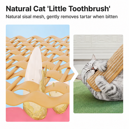 Catnip Sisal Kicker Toy for Indoor Cats – Natural Scratch, Bite & Bunny Kick Toy for Bored Cats